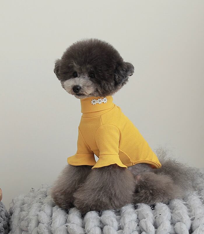 袖フリルネックポーラ S ~ XL 4color / 犬服 新作 秋冬 トップス 可愛い 犬の服 シンプル ペット洋服 ドッグウェア 犬 猫