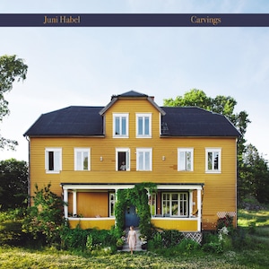 【レコード】Juni Habel - Carvings(BASIN ROCK)