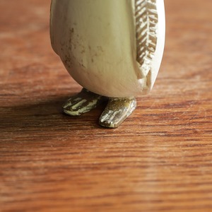 立ち姿が愛らしい、ペンギンの子 1