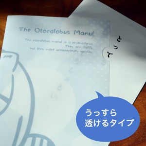クリアファイルセット★マヌルネコ