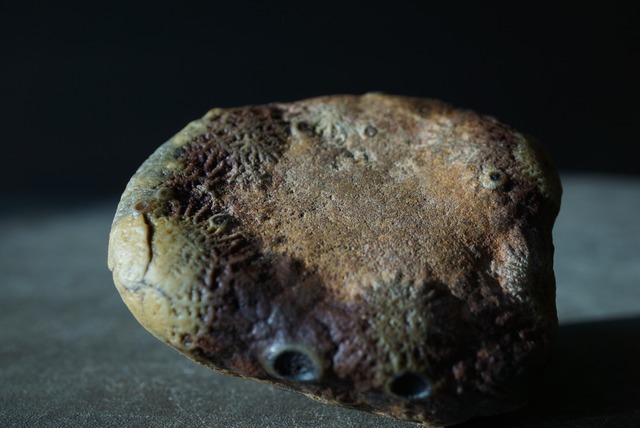 ゴビアゲート Gobi Agate 1451