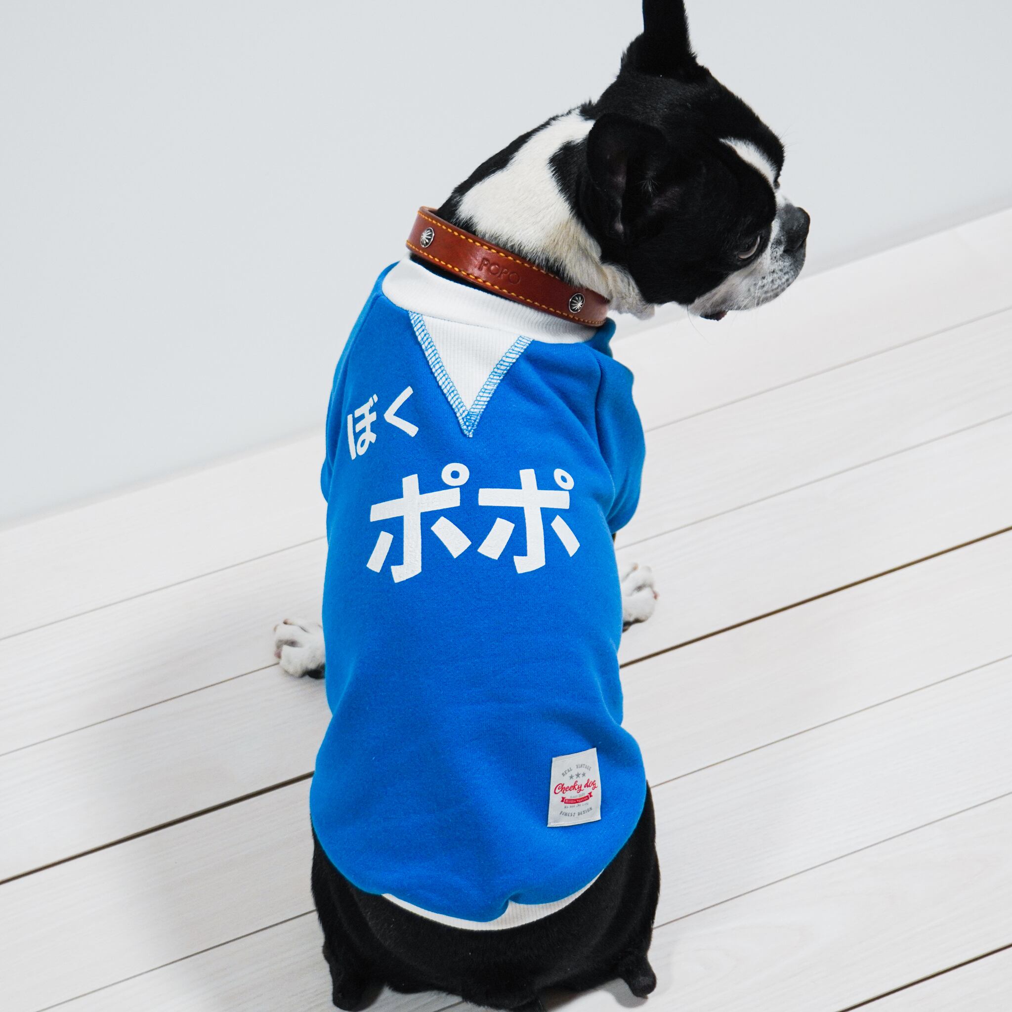 POPな名前入りスウェット＜blue＞/ボストンテリア/犬服 | Cheeky☆dog