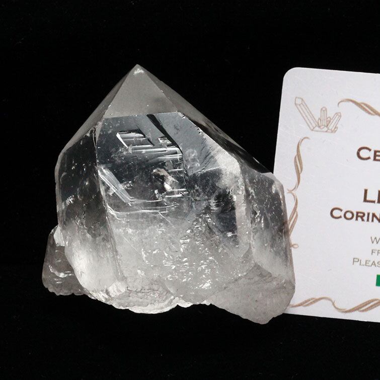 レムリアンシード 水晶 原石 ブラジル ミナスジェライス州 コリント産 証明書付属 一点物 271-466