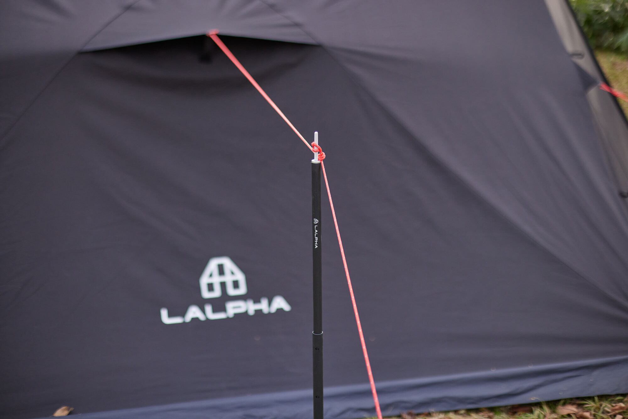 Thurasan 🇩🇪 Official adidas images of the upcoming ZX 8000 Made in