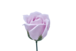 ゴールドバラG-PU1 薄紫 (15輪入りor25輪入り)