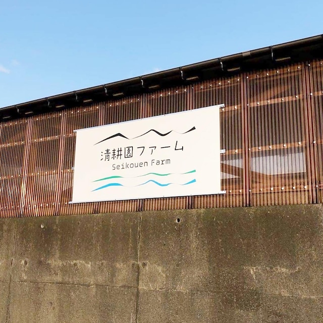 終了【2023年5月27日開催】田んぼオーナーになろう！焼山の絶景とどろんこ田植え  in 清耕園ファーム