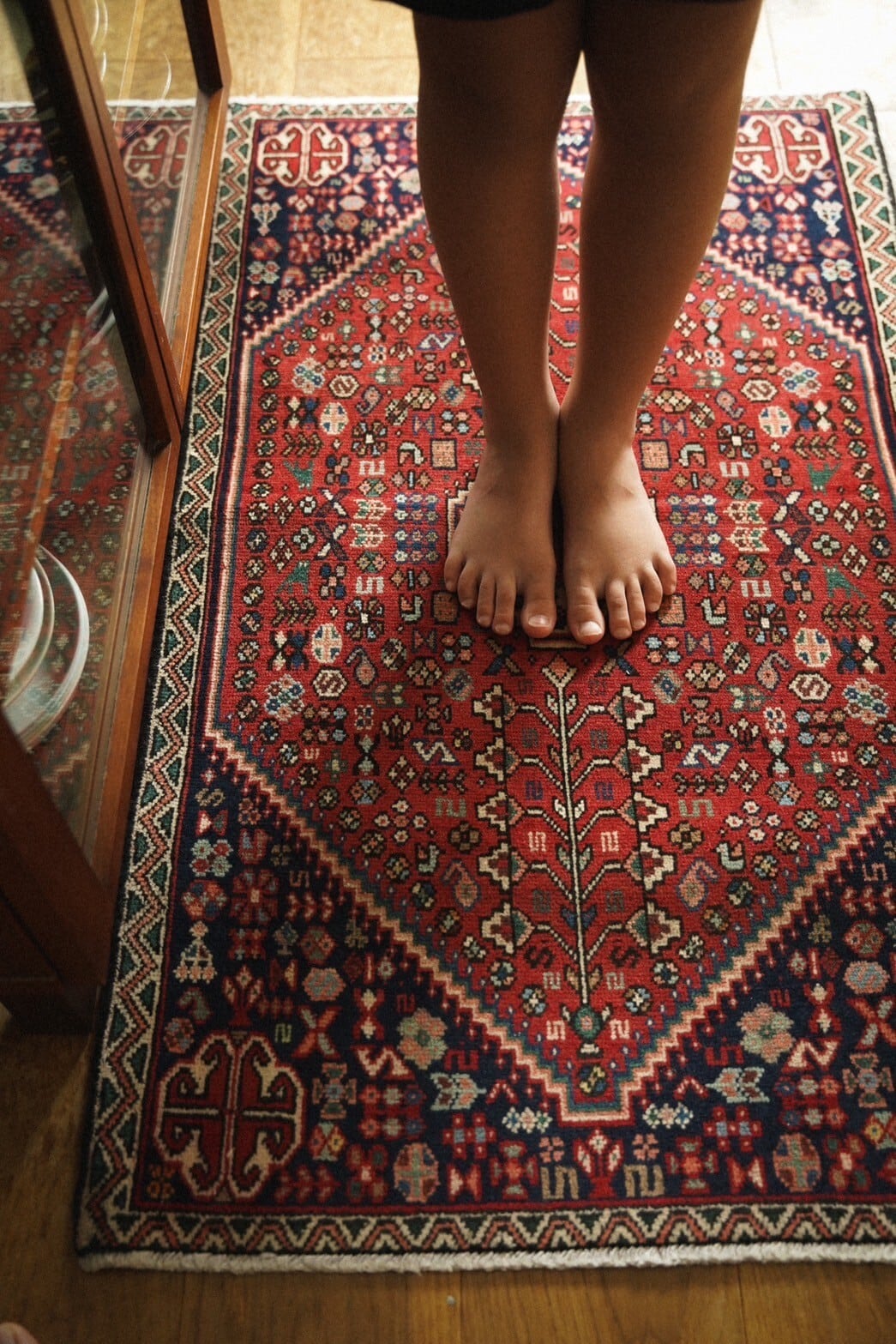 766 -Vintage Taimani rug | PAY ID