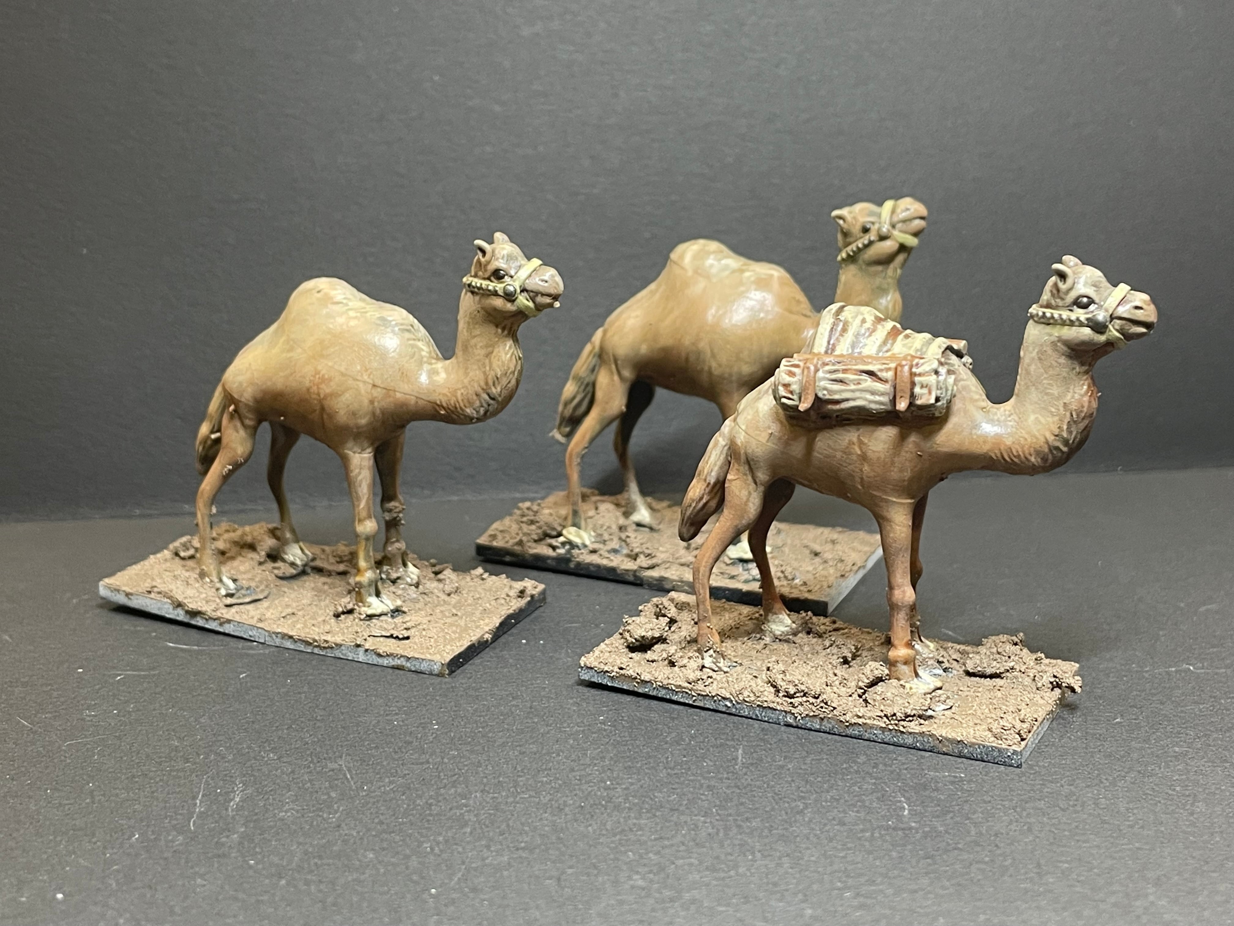 ラクダ・セット | フロストグレイブ・ミニチュア・ゲーム・ショップ