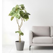 ウンベラータ曲がり 150㎝［人工観葉植物・フェイクグリーンT］