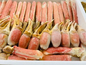 【銀蔵化粧箱】特選特大冷凍カット生ずわい蟹　5L  正味3㌔(総重量3.5㌔)