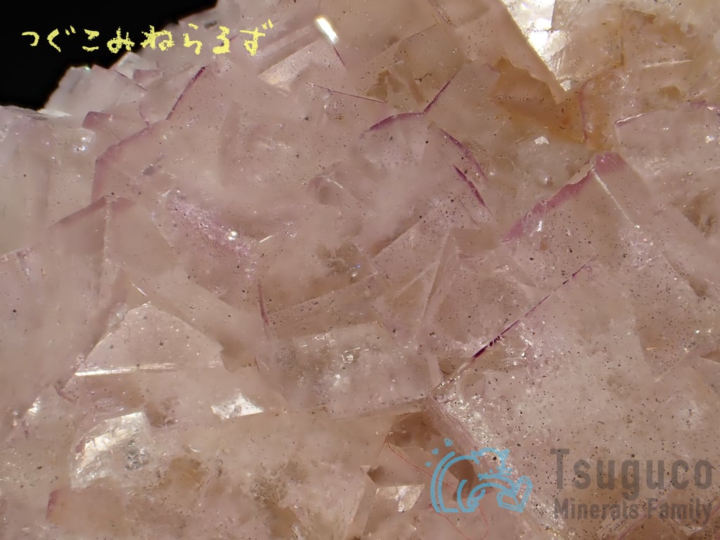 フローライト 蛍石 Fluorite イギリス TM-0051