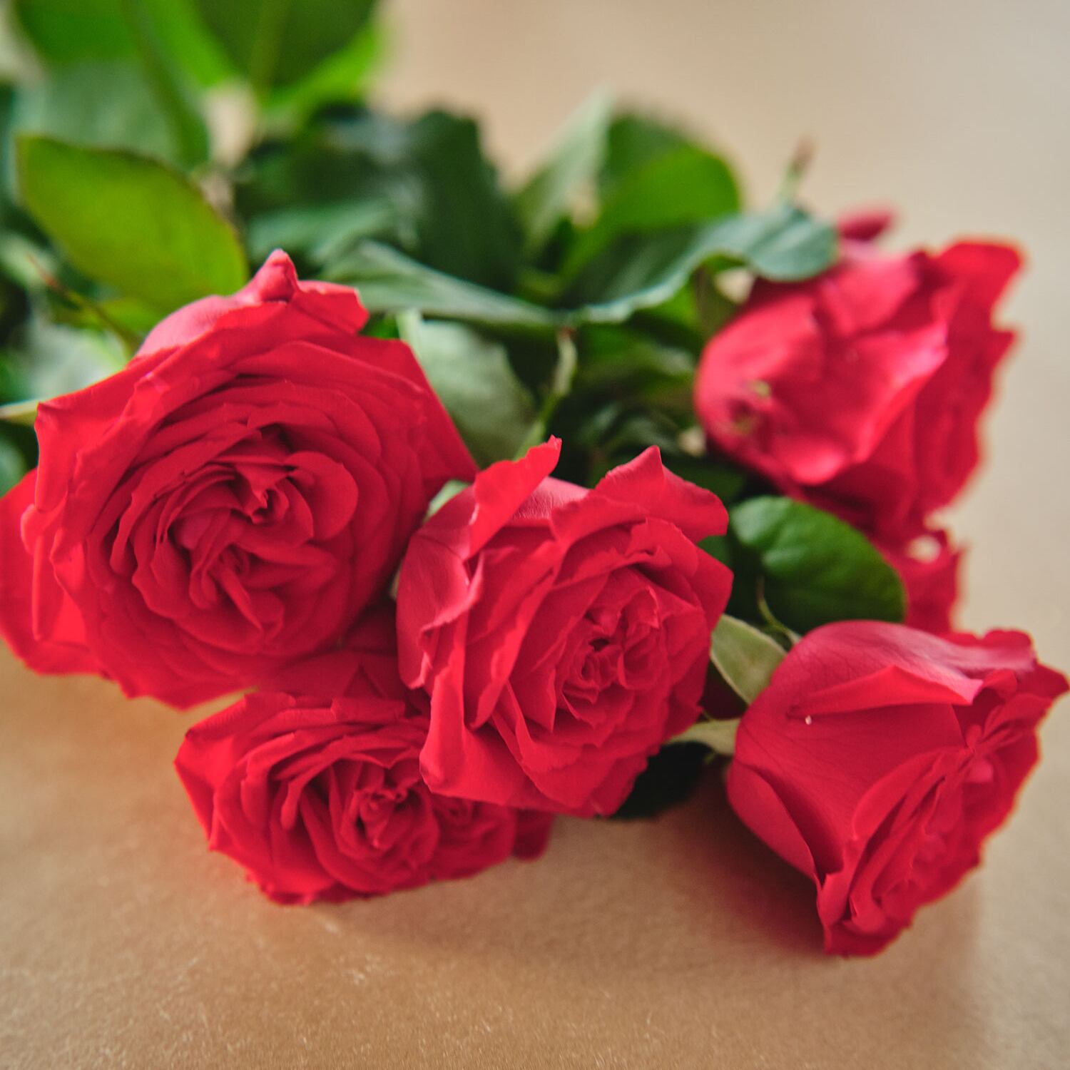 Rosa Purprea】ローザ プルプレア パフューム 50ml｜レルボラリオ L