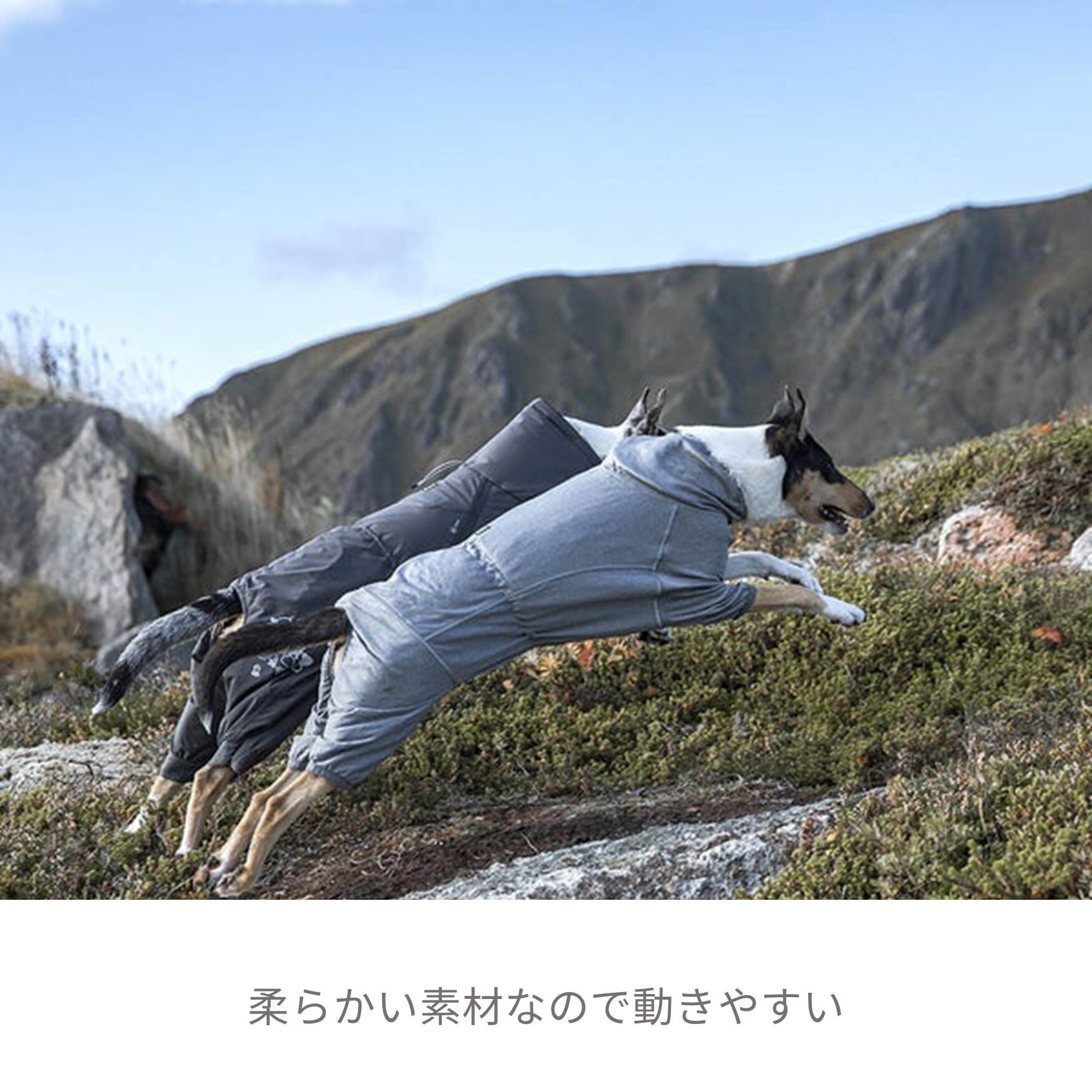 Hurtta】【フルッタ】・ドッグオーバーオール【ボディウォーマー】中