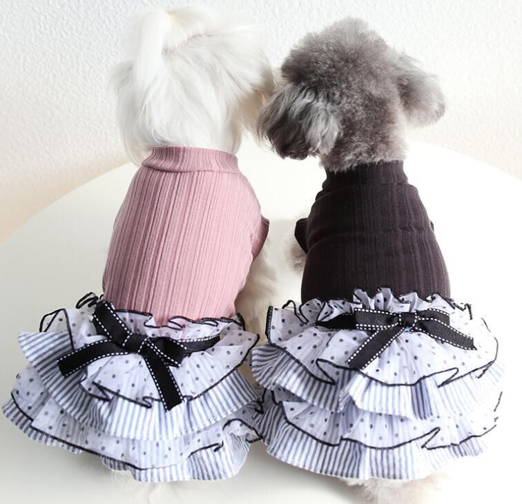 《予約》3101488 マカロンワンピース