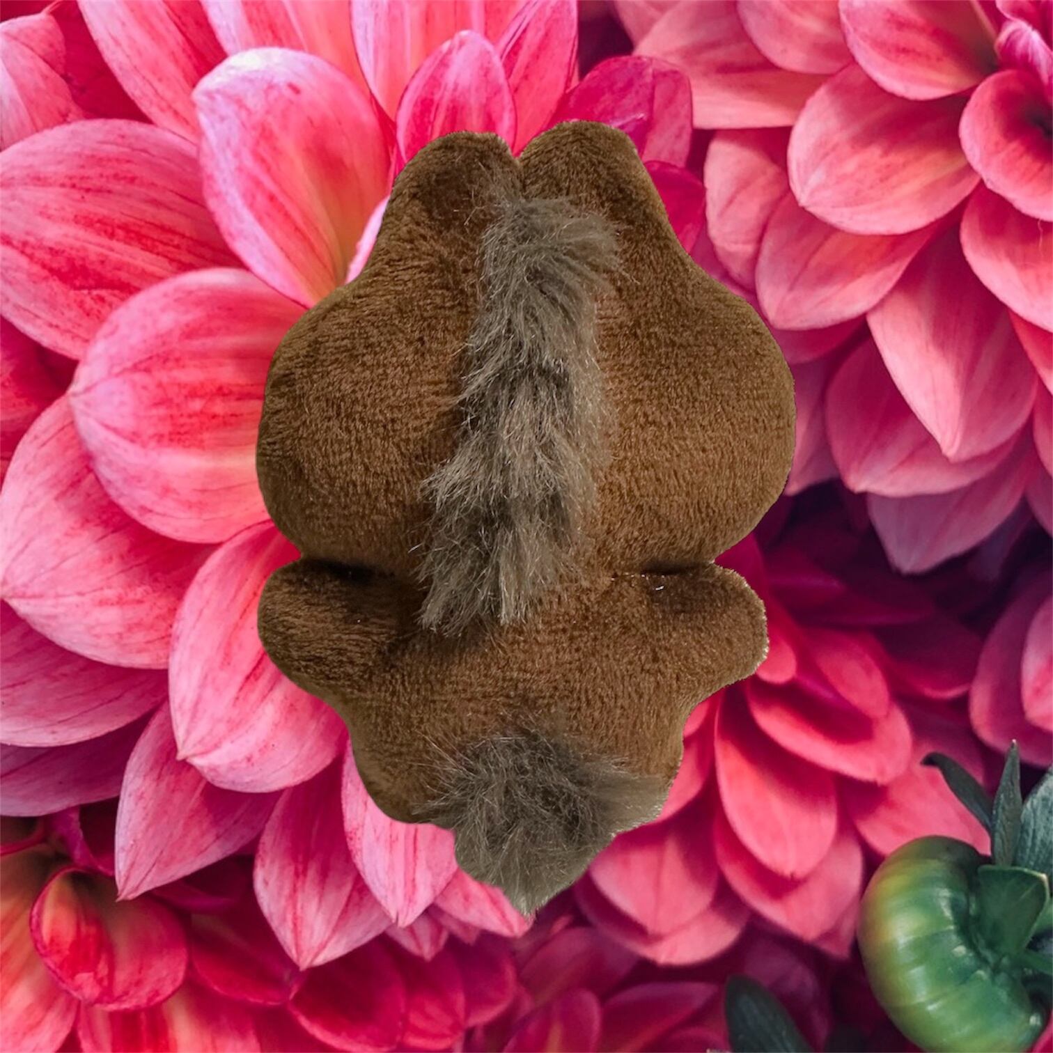 馬うさぎさん | うさぎのおみせやさん