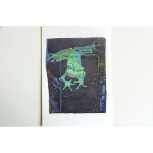 月蛙　ポストカード　『光と影』