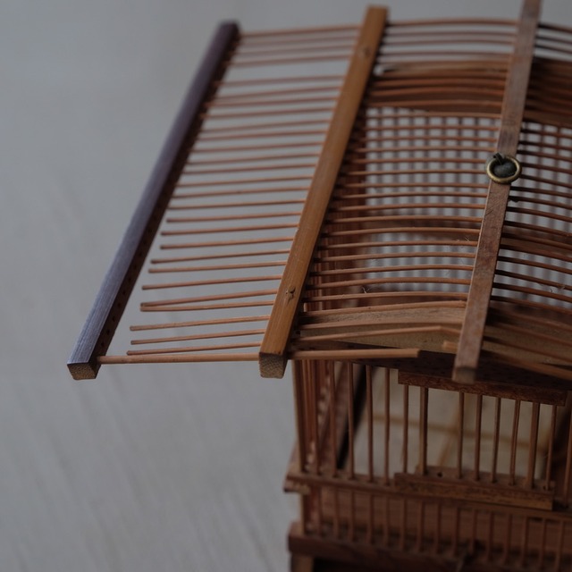 Insect cage