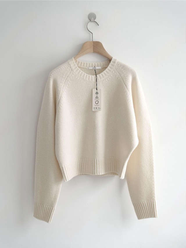 Basic Crew Neck Knit