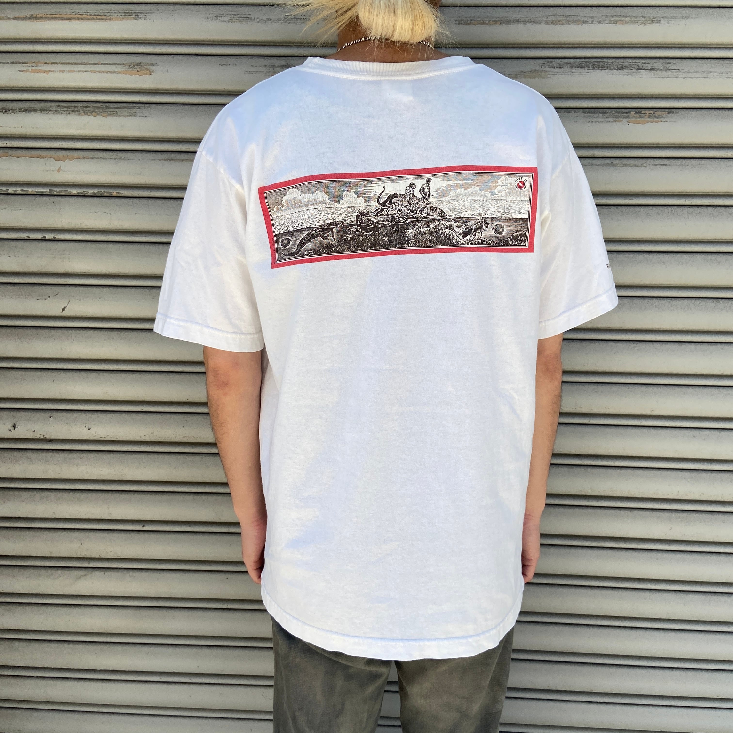 レア 00s USA製 パタゴニア ベネフィシャルTシャツ キナリ M 環境保護