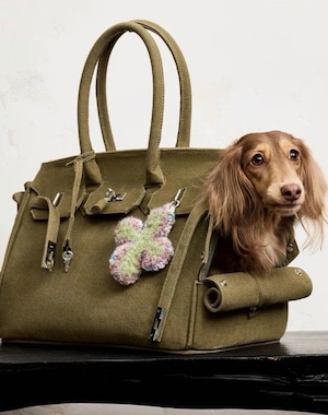 The Pet Carrier