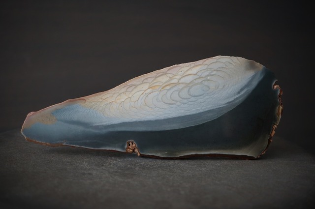 メニライトオパール Menilite Opal 1920