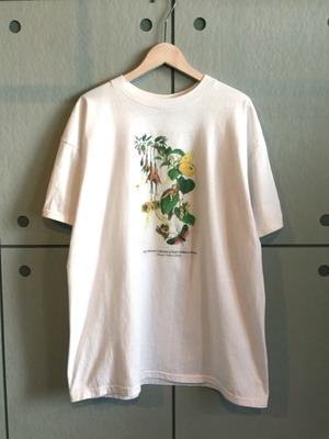 "Fruit of The Room" Print Tee Shirt