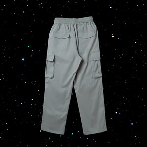 ∴ meteorite kick pants / gray