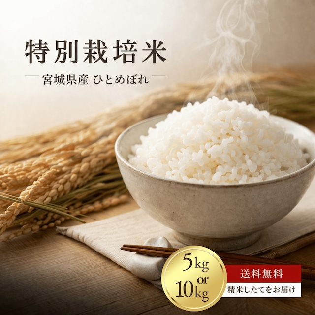 送料無料！令和7年産 特別栽培米　宮城県登米産ひとめぼれ 白米 5kg or 10kg(5kg×2) お米 宮城 美味しい おいしいお米 おこめ 10キロ 精米 国産米