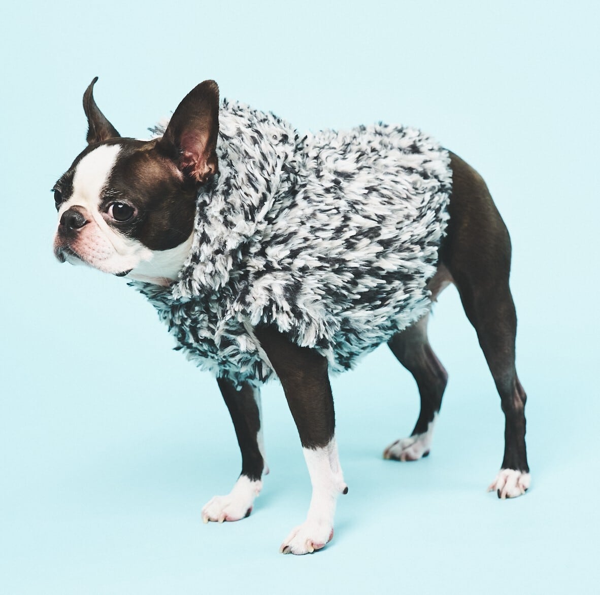 MOUNTAIN COZY KNIT HOODIE-STONE ASH