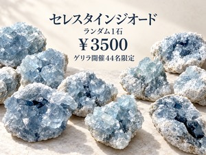 セレスタインジオード　ランダム1石［No.K-863］