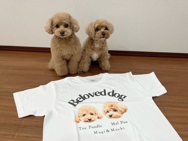 うちの子フォト｜Tシャツ
