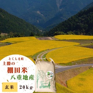 【新米】令和4年産 とくしま県上勝の棚田米 <八重地>