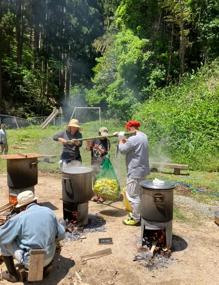 国産メンマ 孟宗竹の塩漬筍4500g(300gx15個) メンマ 原材料