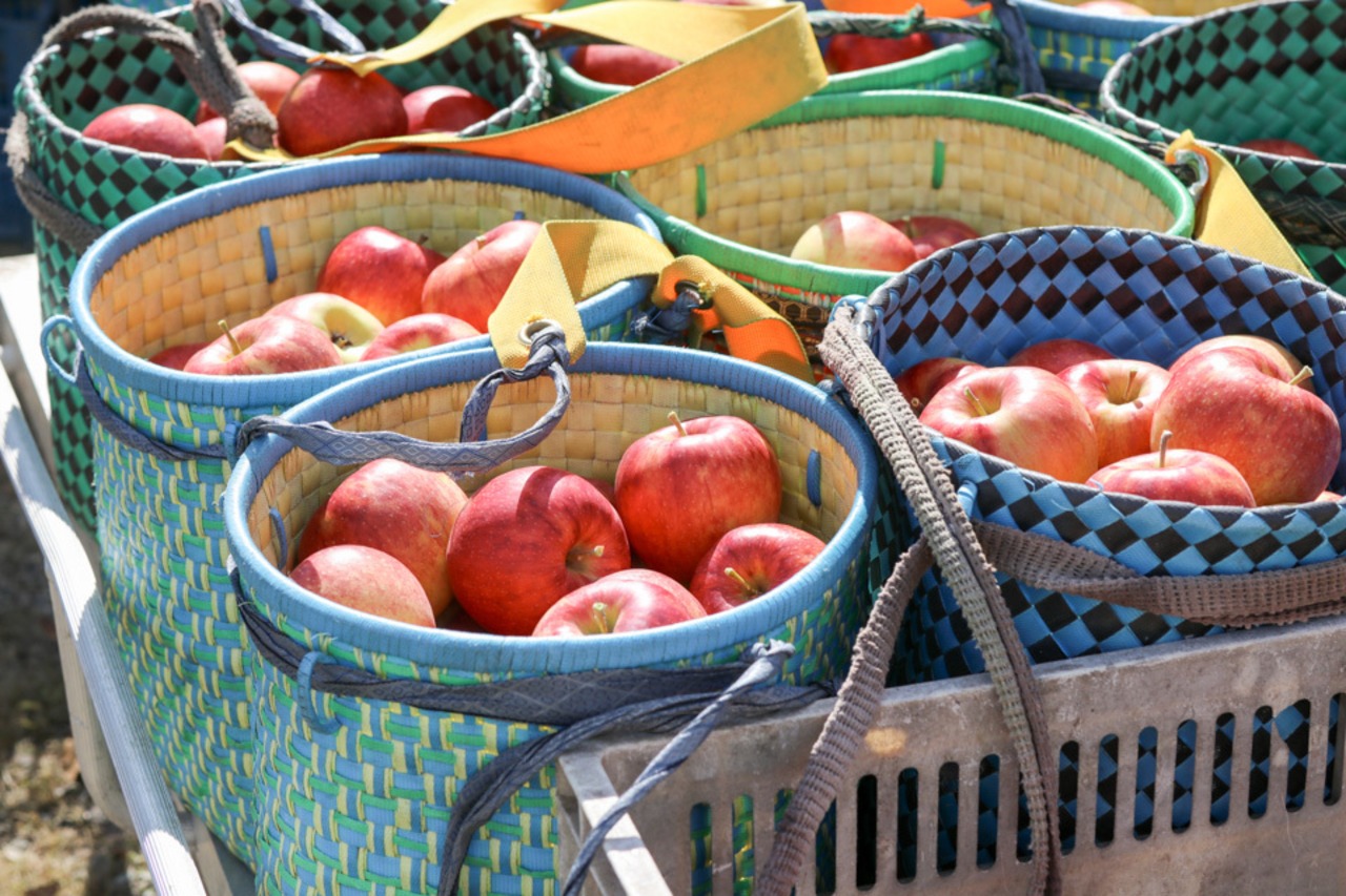【甘みが強くシャキッと食感！】不動の人気No.1「サンふじ」約3kg～