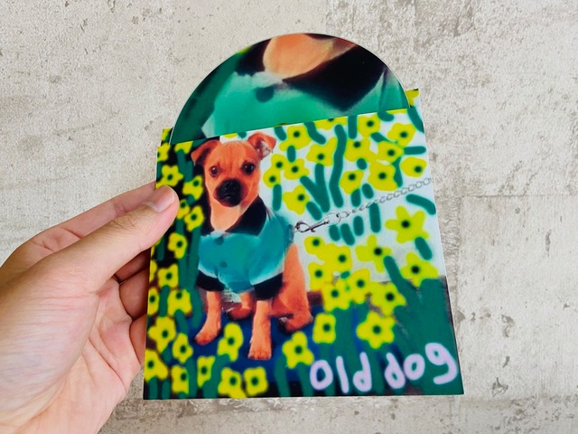 シュウタネギ / OLD DOG | HOLIDAY! RECORDS DISTRO