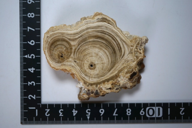 モロッコ産カルサイト/アラゴナイト Calcite / Aragonite 1639