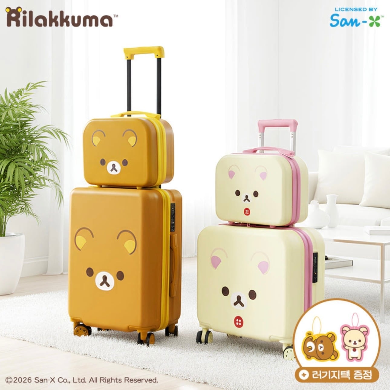 韓国限定】chiikawa carry case usagi / ちいかわ うさぎ ハチワレ