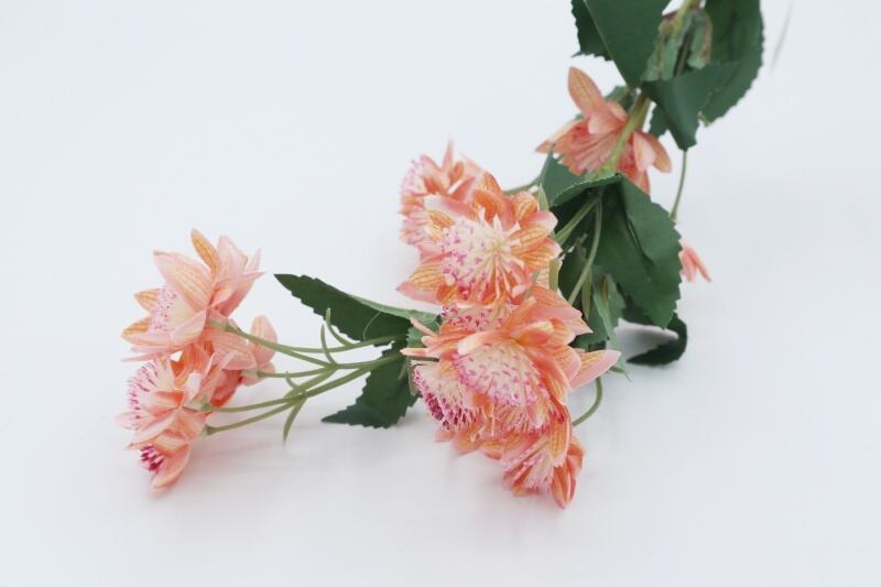 アストランティア造花