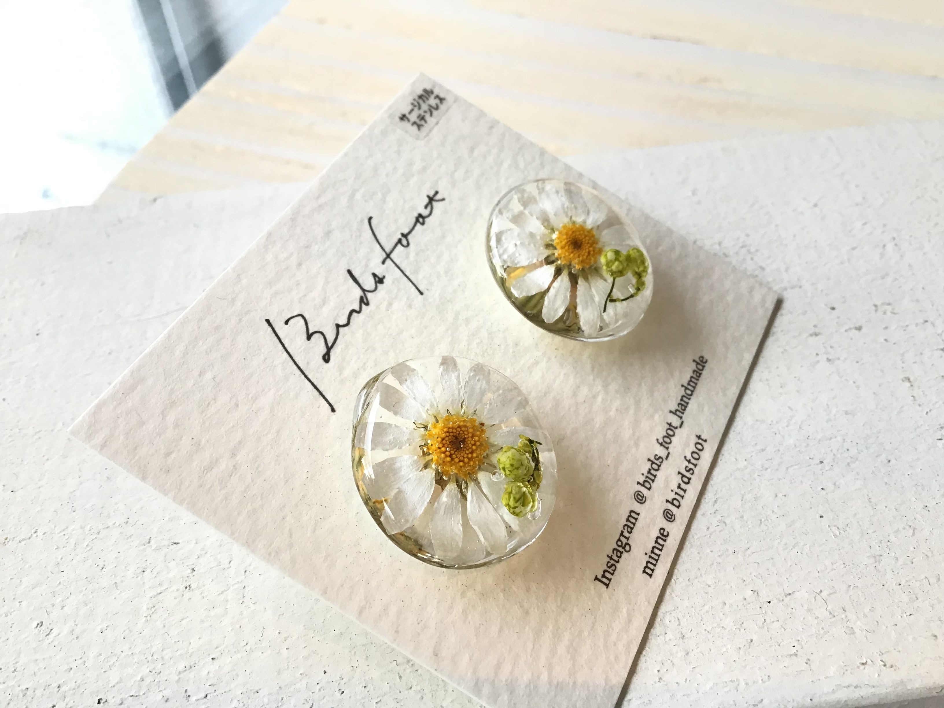 ノースポールピアス ノースポールピアス / North pole earrings | atelier mozu