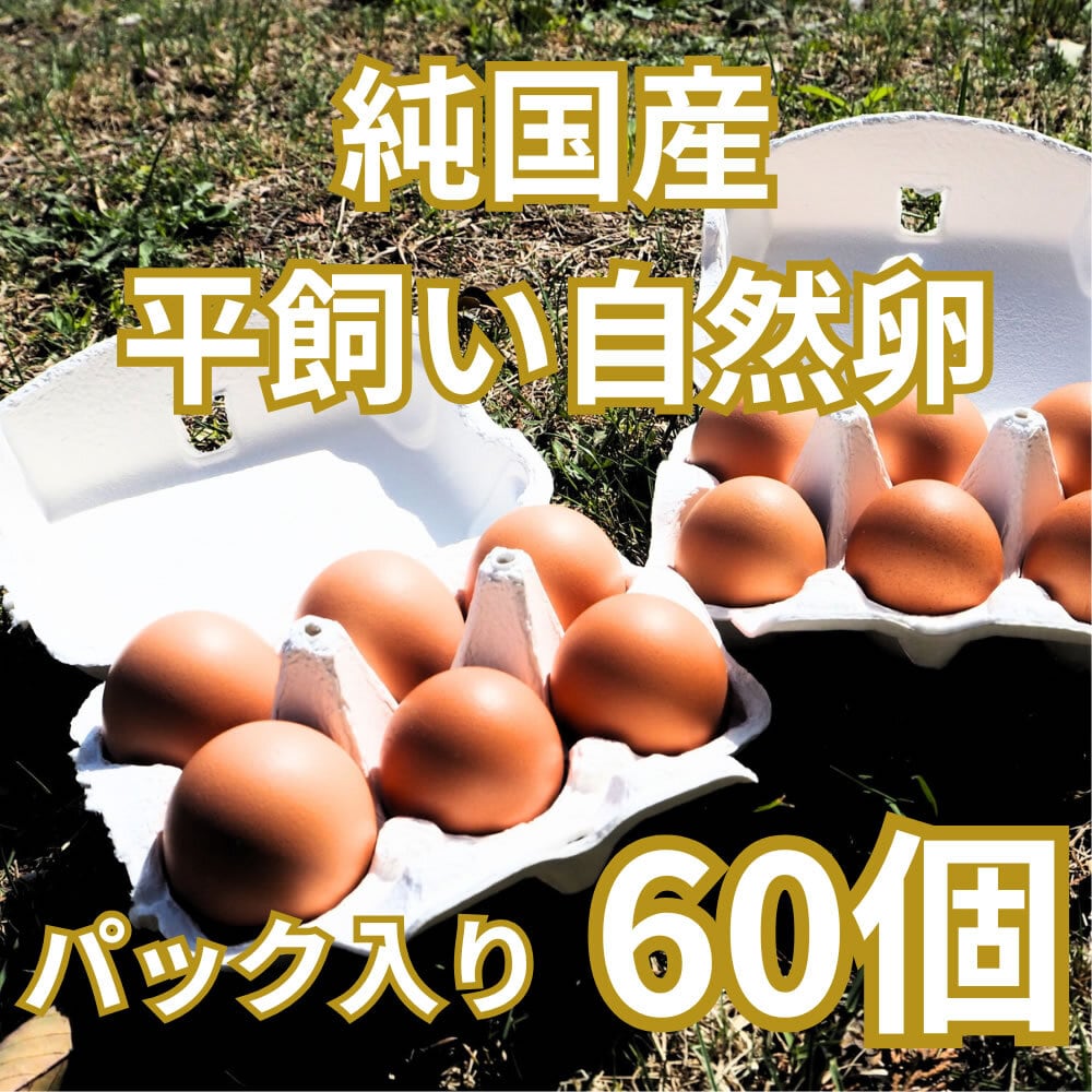 パック入り｜48個】完全自家配合！とれたて純国産平飼い自然卵（有精卵