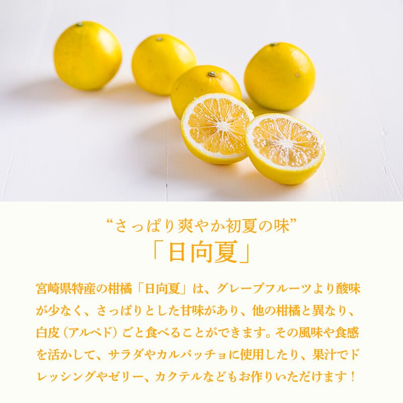 宮崎県産】日向夏冷凍果汁 ／ 1kg【業務用】 | ムラタ拉麺