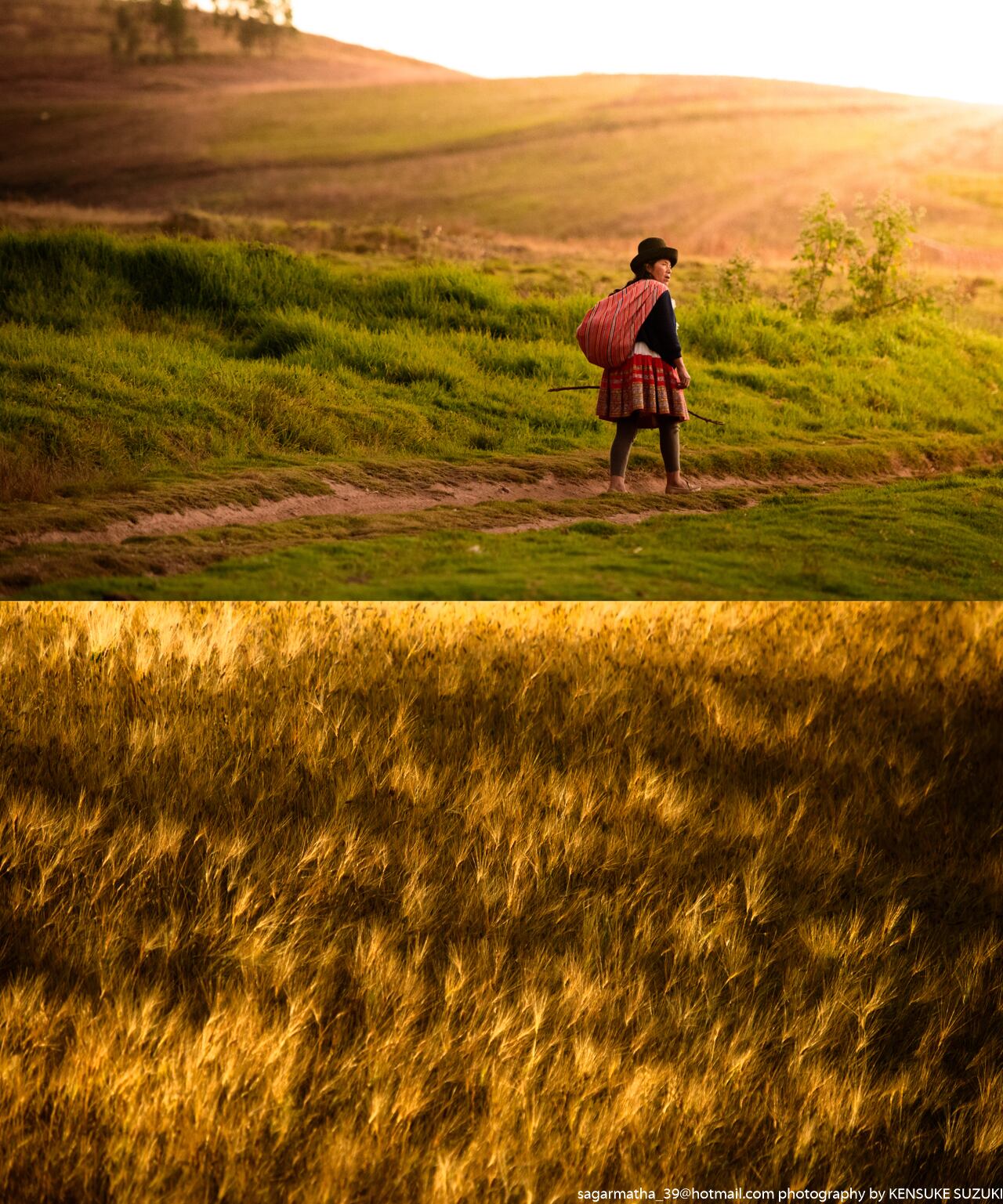 Landscape-046(四切)