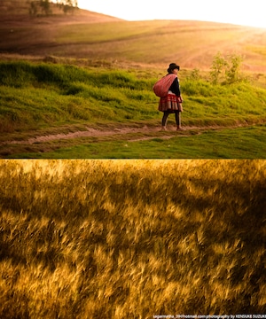 Landscape-046(四切)