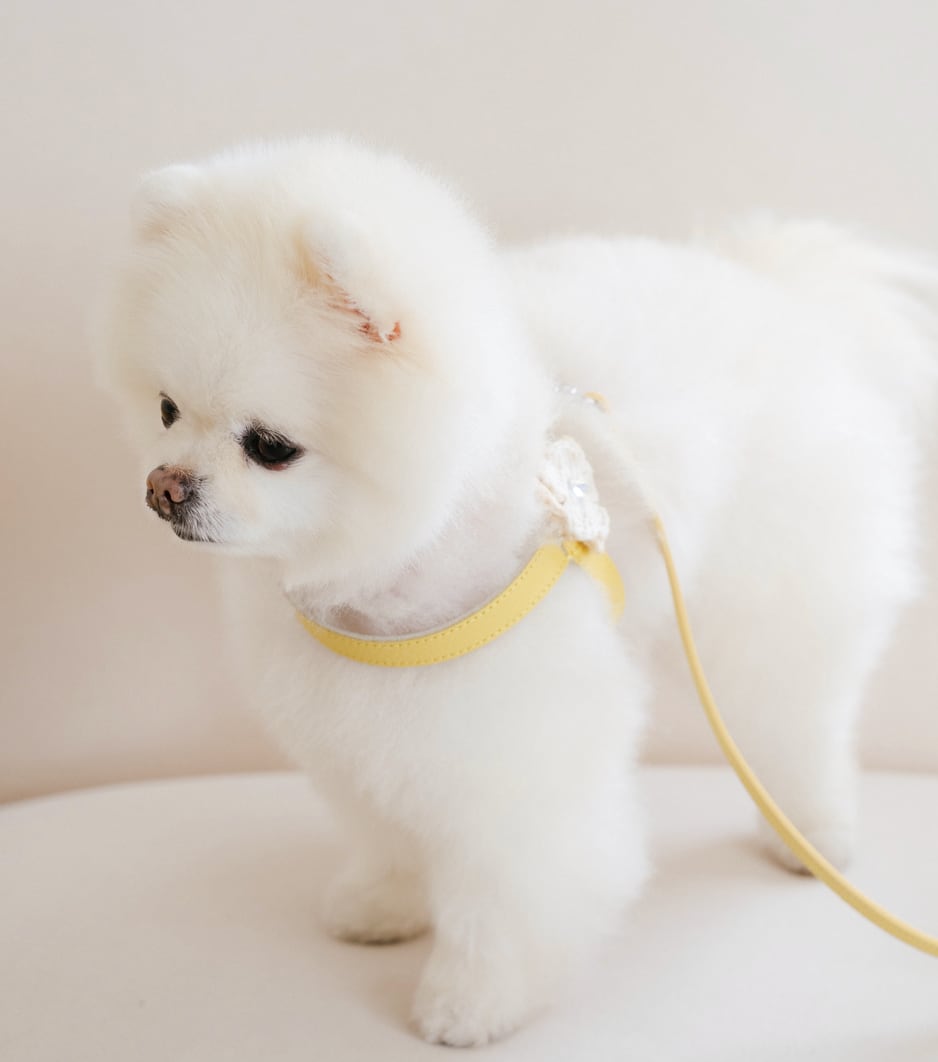 予約【stroll】Soft Walk Harness (butterCream)