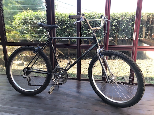 1982 Schwinn Sidewinder BLACK