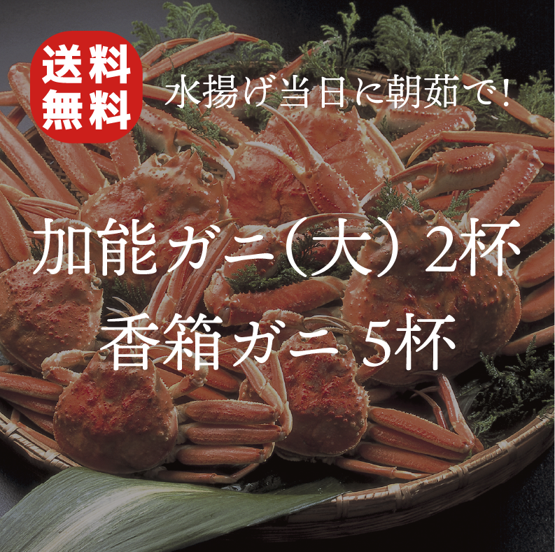 送料無料】朝茹で加能ガニ（大）2杯・香箱ガニ5杯（5〜8人前）　kaganokani