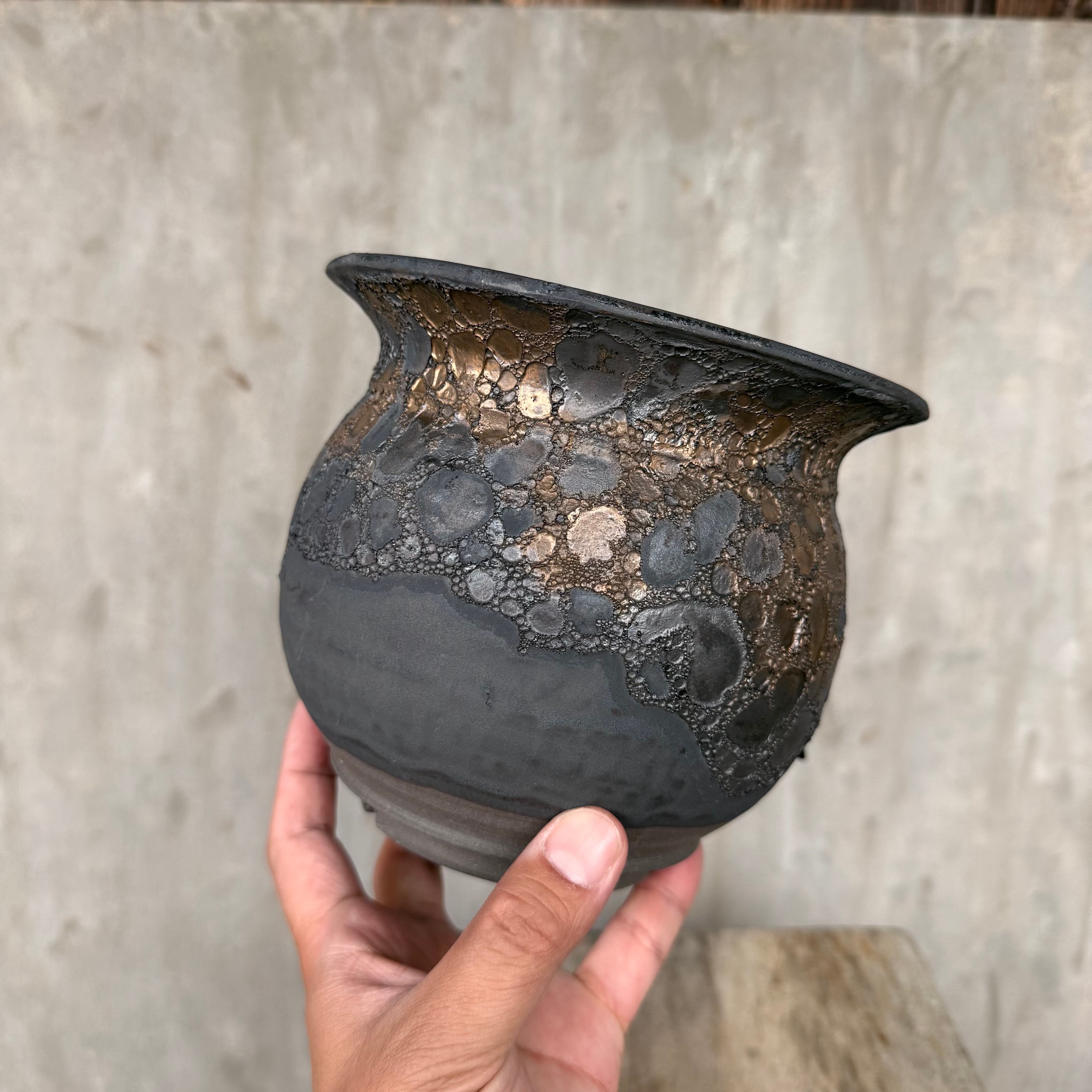 R*L様 【未使用・傑作級】Wild Heaven 陶器鉢 作家鉢 植木鉢 タグ 未使用・傑作級】Wild Heaven 陶器鉢 作家鉢 植木鉢 タグ有 R*L様 【未