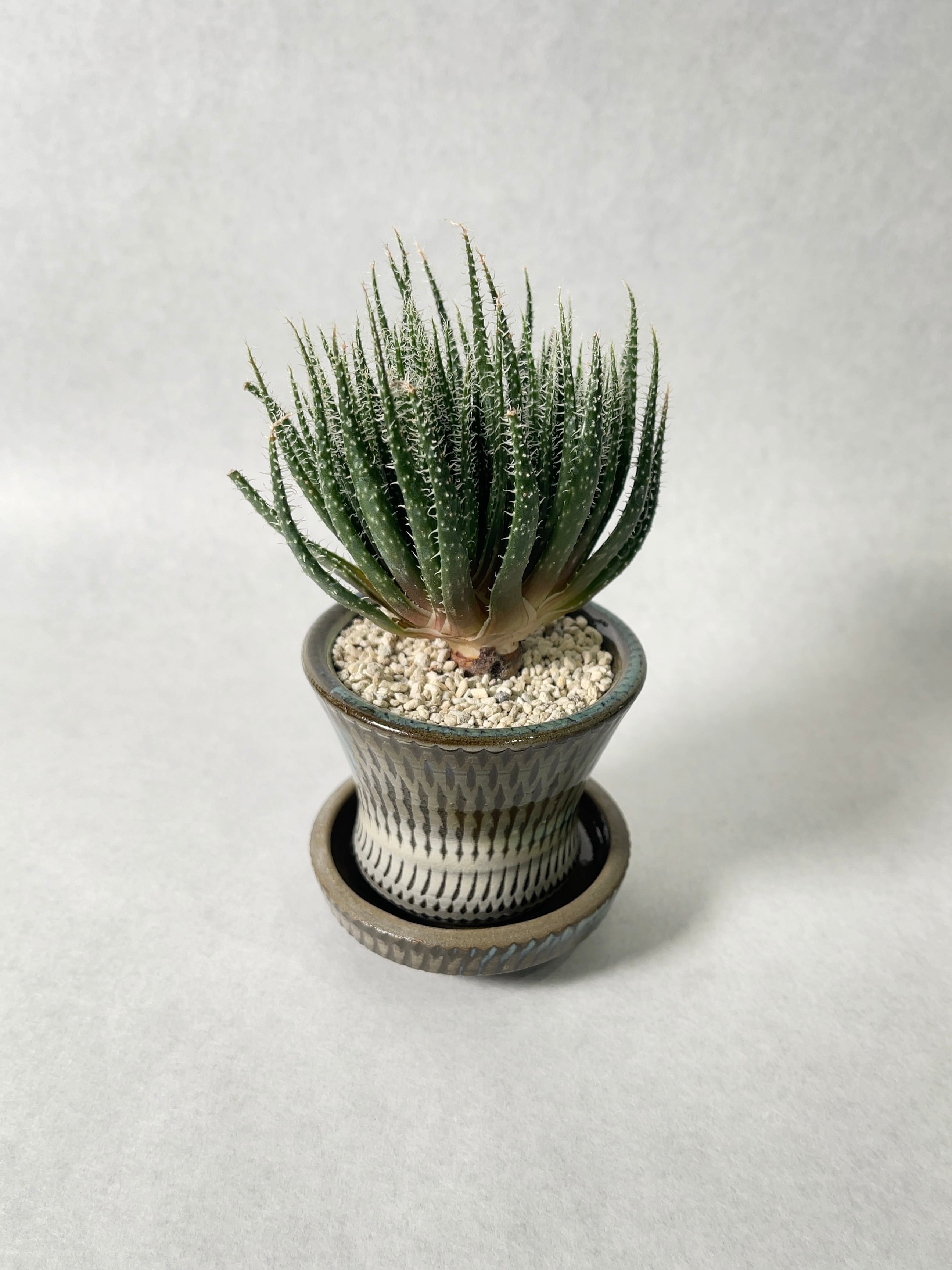 ffabf349c05acdd78ce4febc983045