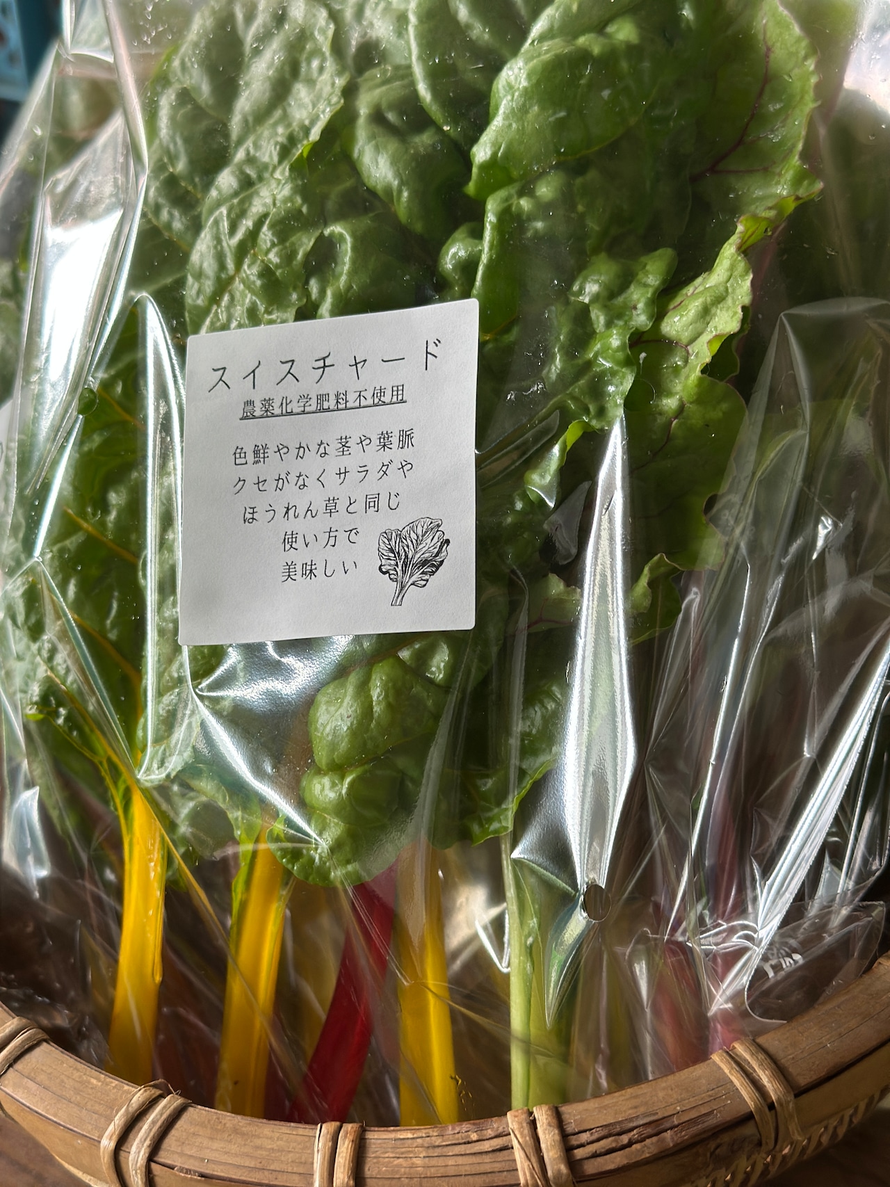 キラピカ旬野菜/11~12品平飼いたまご10個BOX【農薬化学肥料不使用】農の島*大三島*よりお届け!