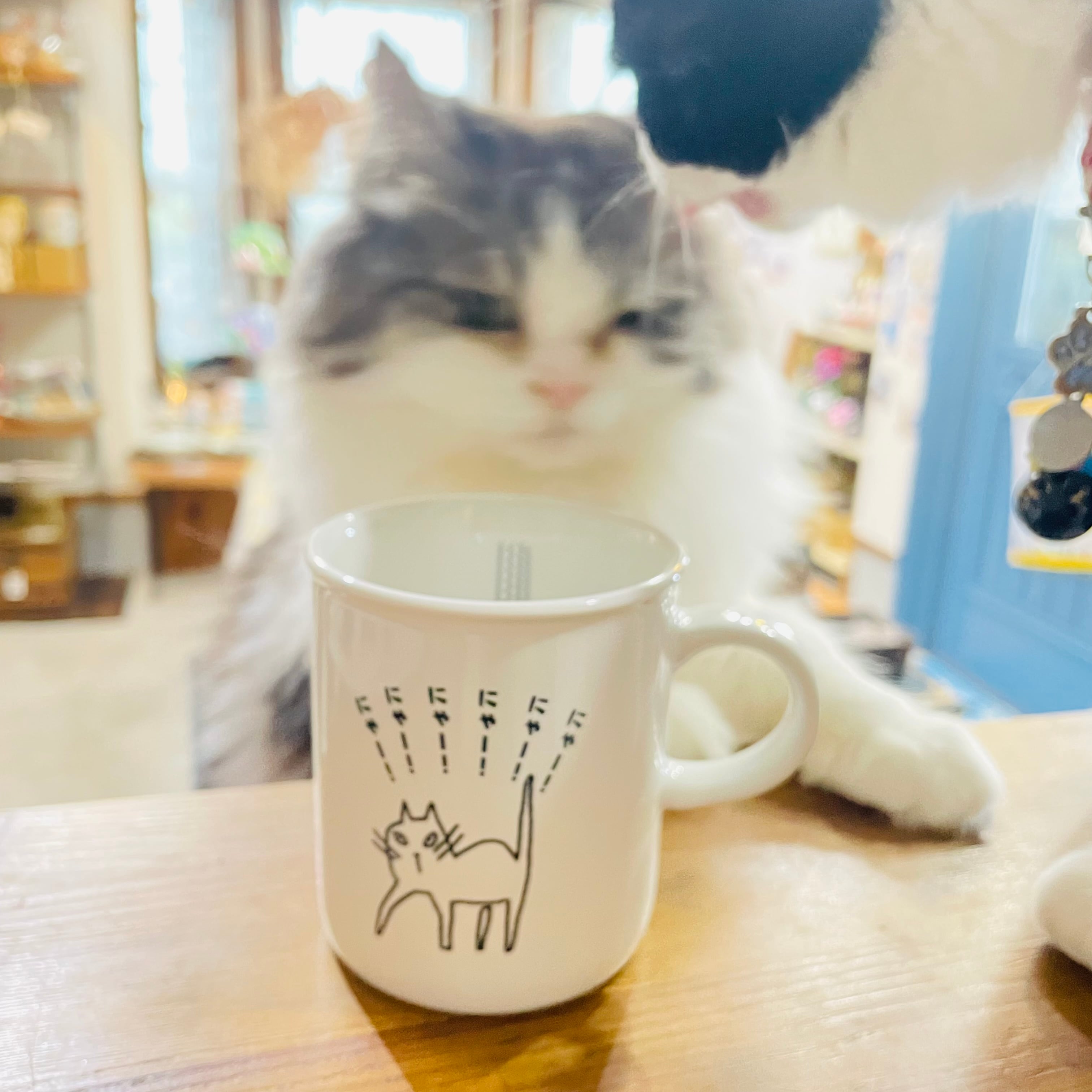 マグカップ｜にゃーにゃーにゃーマグ  美濃焼 猫 ねこ ネコ 猫雑貨 猫グッズ かわいい プレゼント 贈り物 おうち時間 おうちカフェ
